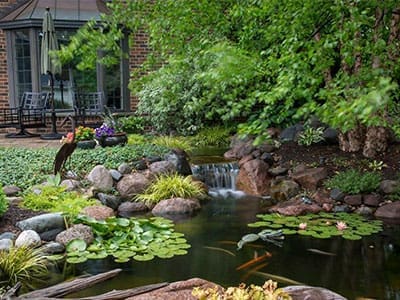 Pond Maintenance project example