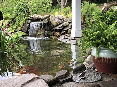 Pond Maintenance project example