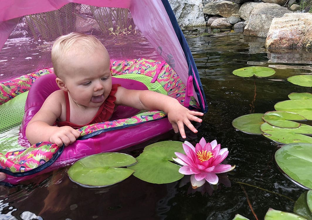 Natural Swimming Ponds project example