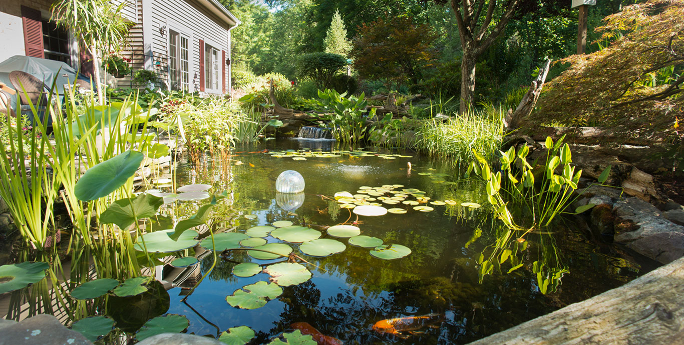 Ponds, pondless water features, fountainscapes, and high-end aquatic landscaping for Massachusetts and beyond