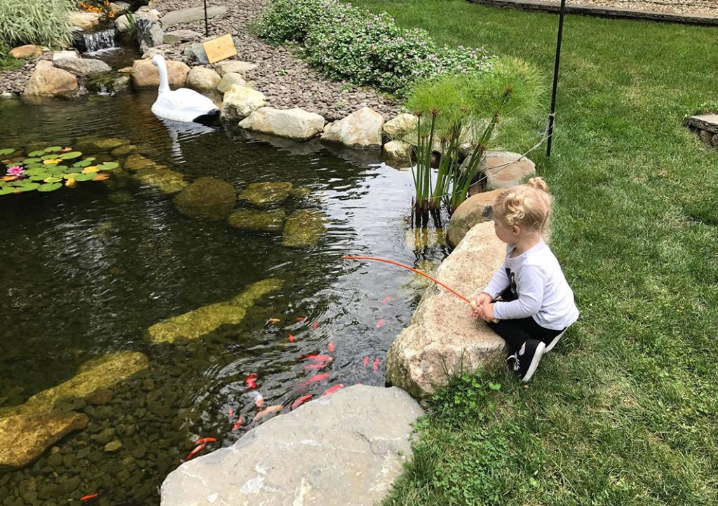 Ponds, pondless water features, fountainscapes, and high-end aquatic landscaping for Massachusetts and beyond