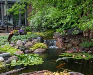 Ponds, pondless water features, fountainscapes, and high-end aquatic landscaping for Massachusetts and beyond