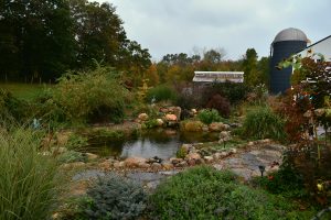 Lush garden with pond and greenhouse.