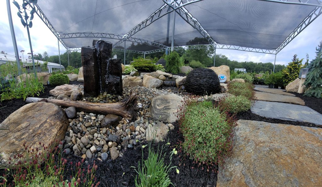 Outdoor garden with rocks and water features